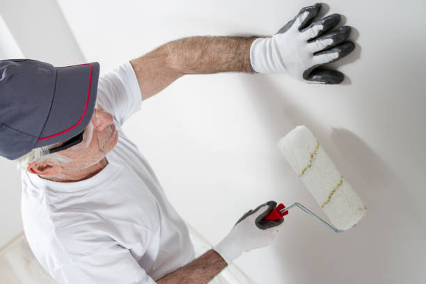 Reliable Cambridge, IL Painting & Drywall Installation Solutions